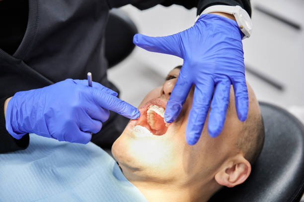 Best Emergency Pediatric Dental Care in St Charles, MN
